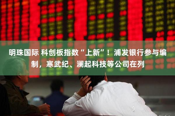 明珠国际 科创板指数“上新”！浦发银行参与编制，寒武纪、澜起科技等公司在列