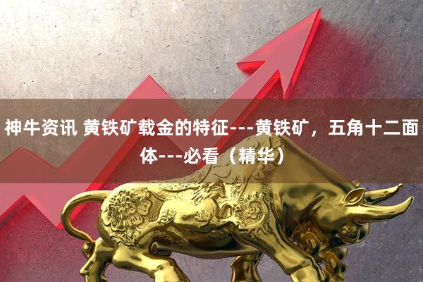 神牛资讯 黄铁矿载金的特征---黄铁矿，五角十二面体---必看（精华）
