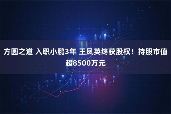 方圆之道 入职小鹏3年 王凤英终获股权！持股市值超8500万元